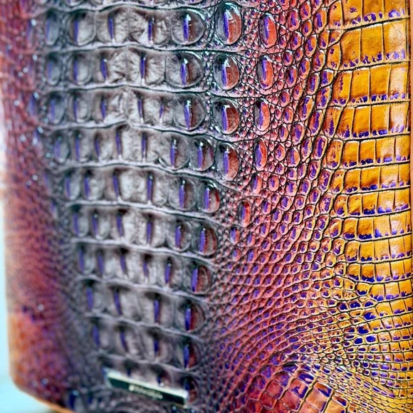 Brahmin Crown Ombré Katie Leather Crossbody NWT - Picture 4 of 9